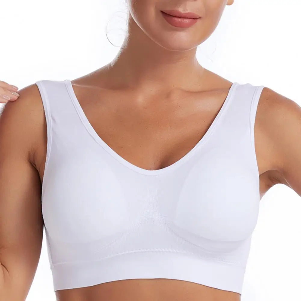 Top Toque Plus